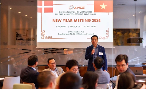 Vietnamese experts in Denmark work out operational plan in 2024