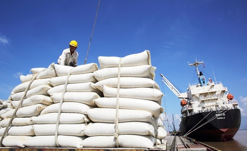 Vietnamese rice export to Senegal increases by 215