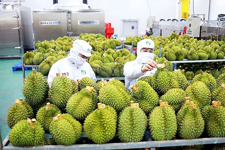 Durian exports to Thailand skyrocket