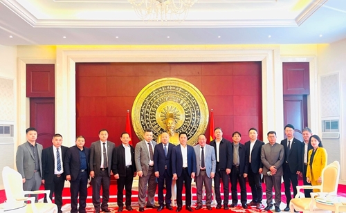 Promoting role of overseas Vietnamese entrepreneurs in economic diplomacy