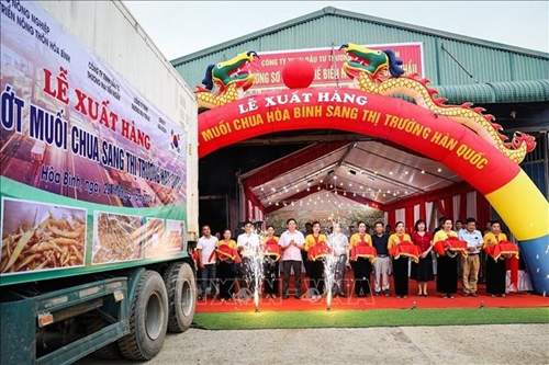 Hoa Binh exports 7 5 tons of pickled peppers to RoK