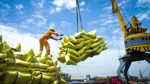 Prospects and challenges for Vietnam’s rice export in 2024