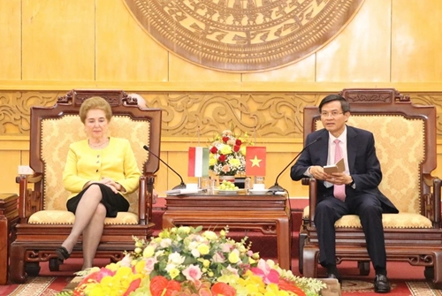 Ninh Binh promotes cooperation with Hungarian localities in diverse areas