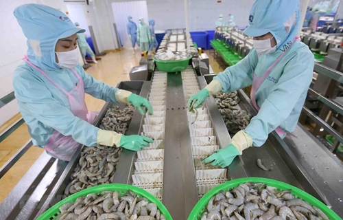 Proposal to abolish tariff on Vietnamese shrimp imported into RoK