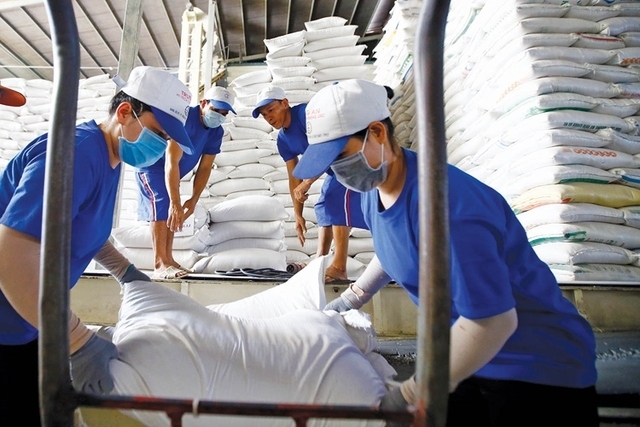 Vietnam emerges as Singapore’s largest rice export partner