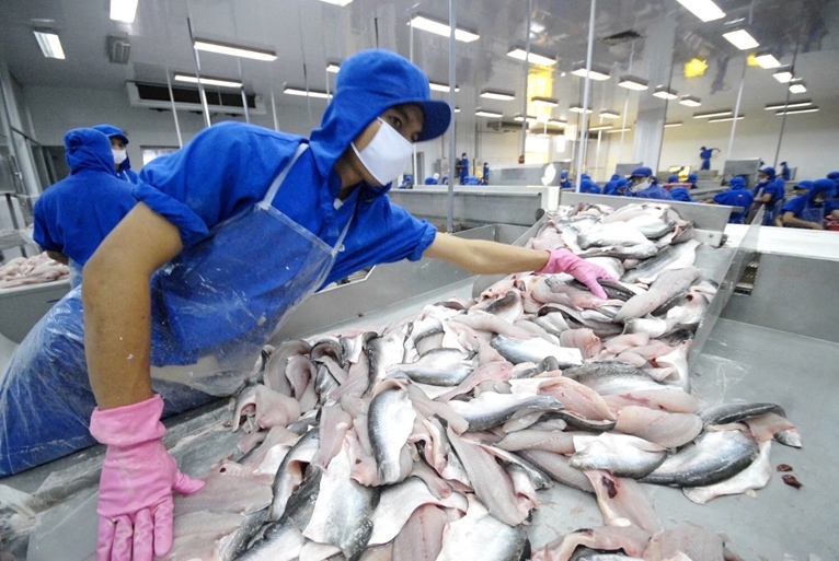 Pangasius exports to UAE increase by 67 in first quarter