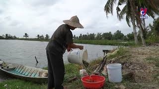 Kien Giang prioritising agricultural production towards resilience