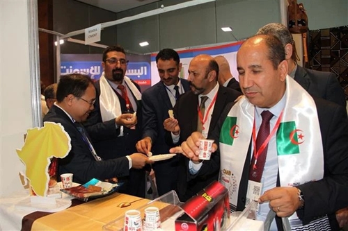 Vietnam displays products at African investment, commerce forum