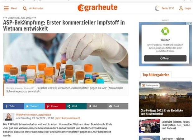 Lutte contre la peste porcine africaine un journal allemand parle du vaccin vietnamien