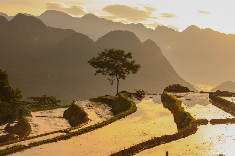 La beauté paisible des rizières en terrasses de Pu Luong à la saison des pluies