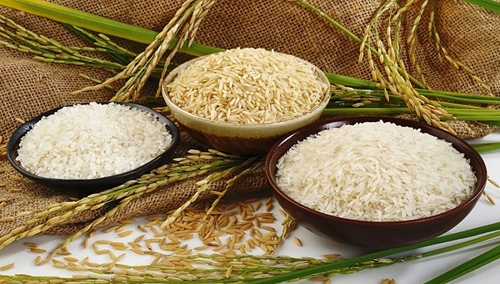 Pour que les grains de riz vietnamiens conquièrent le marché britannique
