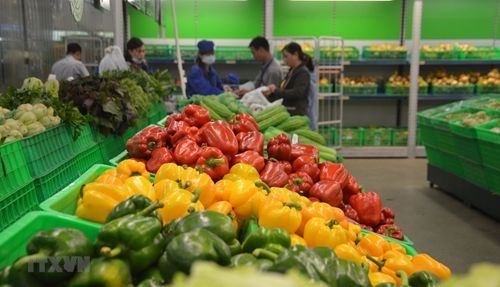 Les exportations de fruits et légumes devraient prospérer d ici la fin de l année
