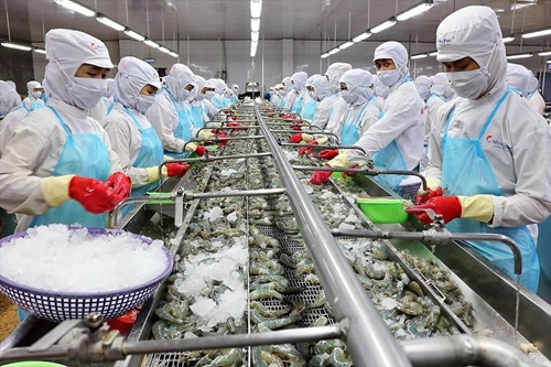 La Suisse, marché prometteur pour les produits aquatiques du Vietnam