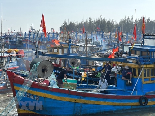 Premières sorties en mer de la Nouvelle année pour les pêcheurs de Ba Ria-Vung Tau