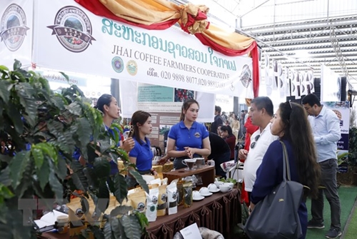 Le Vietnam participe à un festival du café au Laos