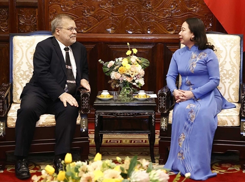 La présidente par intérim du Vietnam reçoit l’ambassadeur du Brésil