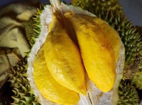 Les Chinois préfèrent le durian vietnamien