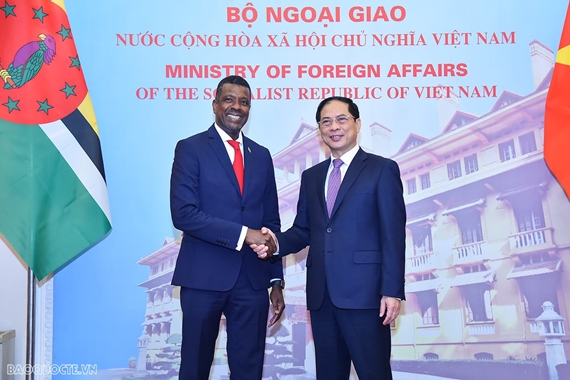 Vietnam-Dominique Entretien entre les ministres des Affaires étrangères