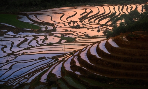 La beauté des champs en terrasses de Lao Cai à la saison des pluies