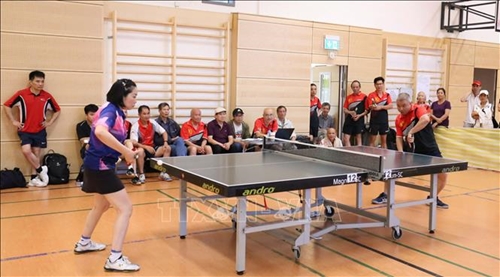 Un tournoi de tennis de table des Vietnamiens à Berlin