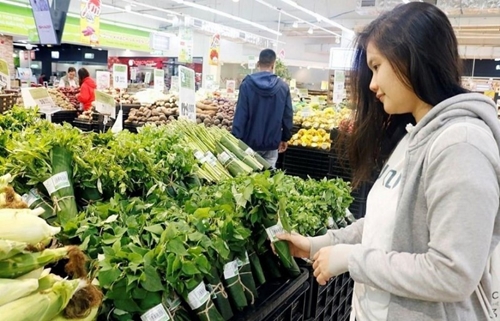 Hanoï vise 100 des supermarchés n utilisant pas de sacs en nylon non dégradables en 2024