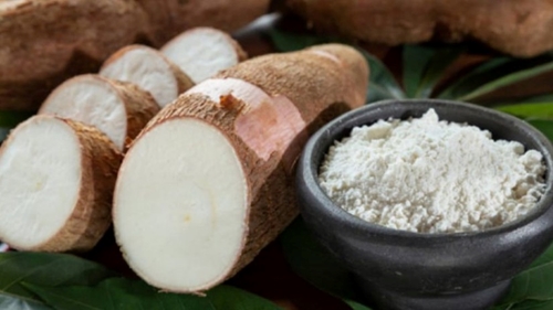 Les exportations de manioc et de produits dérivés se portent bien