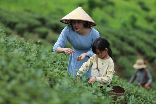 Le Vietnam cherche à stimuler le tourisme rural