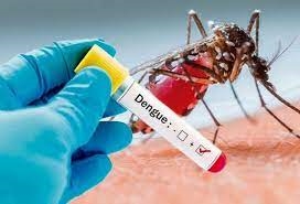 L OMS appelle à une action rapide pour faire face à la menace croissante de la dengue