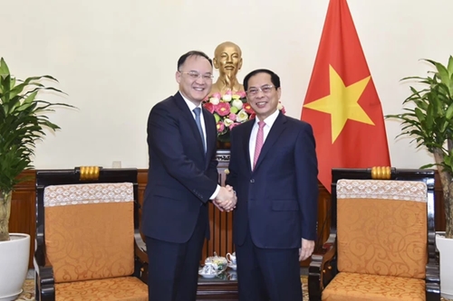 Le ministre Bui Thanh Son reçoit le ministre assistant des Affaires étrangères de Chine Nong Rong