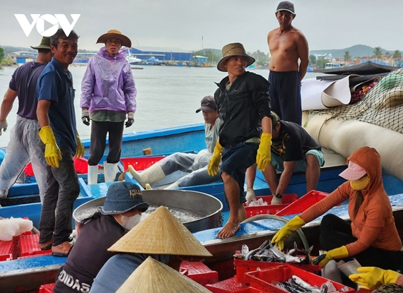 Premières sorties en mer de la Nouvelle année pour les pêcheurs de Quang Ngai