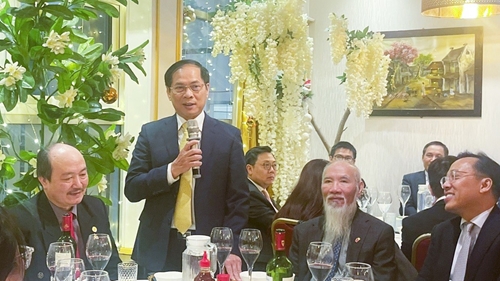 Ministre Bui Thanh Son les agences représentatives doivent traiter la communauté vietnamienne comme des proches