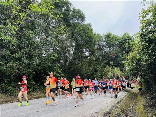 Près de 2 400 coureurs participent à Quang Binh Discovery Marathon 2024