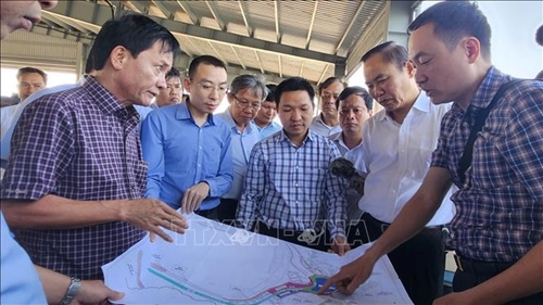 Le ministère de l Agriculture et du Développement rural inspecte la lutte contre la pêche INN à Binh Dinh