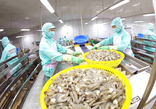 L Australie, un marché potentiel pour les crevettes vietnamiennes
