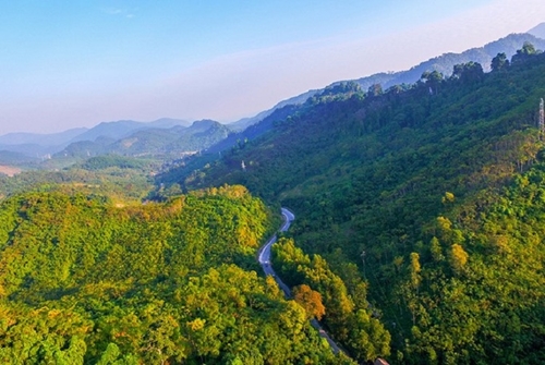 Le Vietnam compte environ 14,86 millions d hectares de forêts