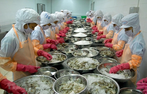 Les exportations de crevettes vers la Chine multipliées par 2,5