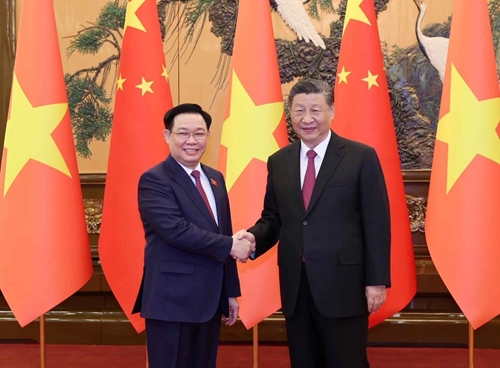 Le président de l’ANV Vuong Dinh Huê rencontre le secrétaire général et président chinois Xi Jinping