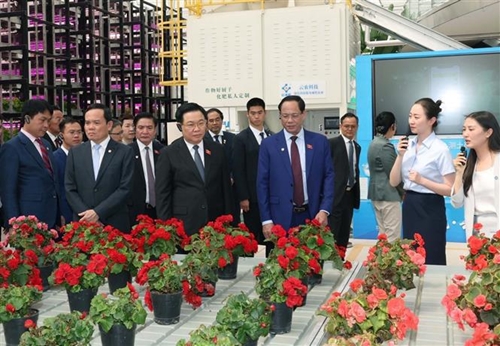 Le président de l AN visite des modèles économiques typiques de la province du Yunnan