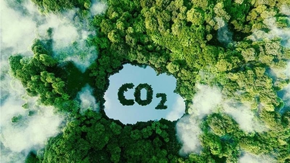 Marché des crédits carbone – Un levier pour un développement économique vert