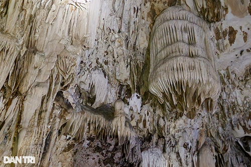 Une grotte avec de belles stalactites naturelles découverte à Thanh Hoa