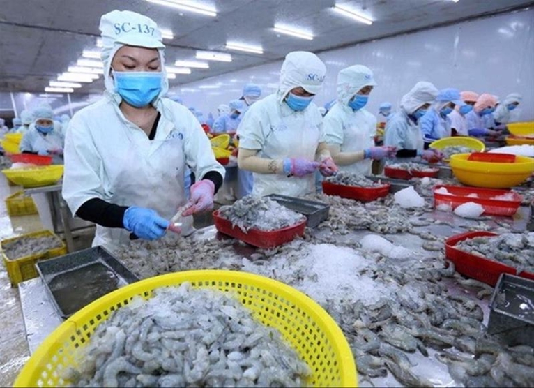 Le Vietnam parmi les 5 premiers exportateurs de produits aquatiques à Singapour