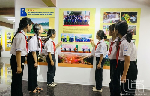 Expositions en l honneur du 70e anniversaire de la victoire de Diên Biên Phu