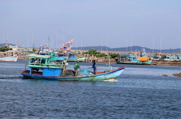 Ba Ria - Vung Tau lance une nouvelle campagne de lutte contre la pêche INN