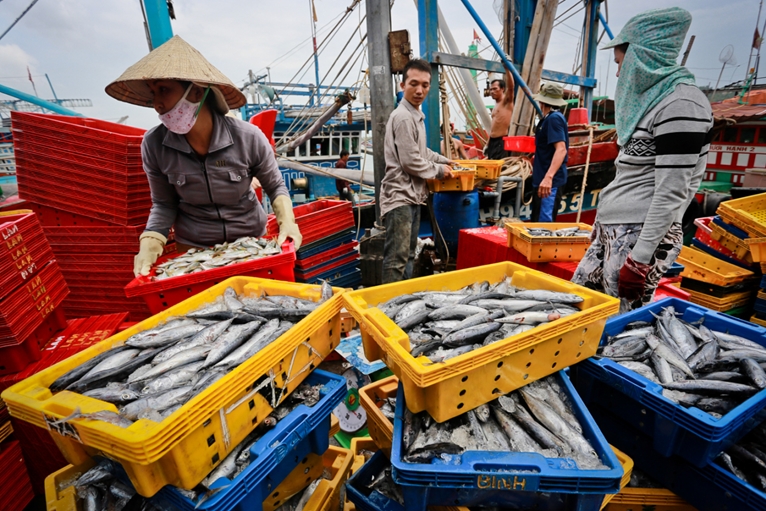 Le Vietnam s efforce de développer une pêche durable et moderne d ici 2050