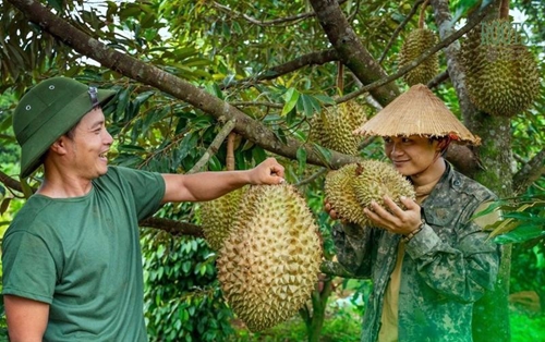 Exportations de fruits et légumes Le durian conserve son trône