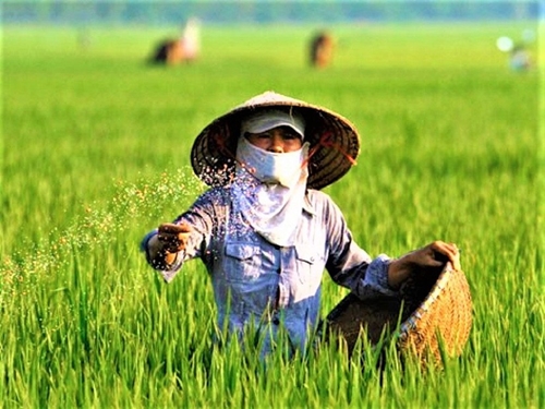 Le Cambodge, plus grand importateur d engrais du Vietnam