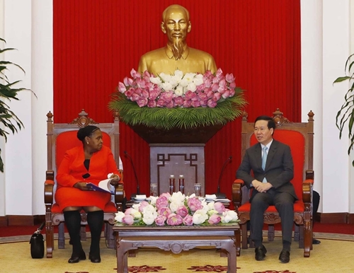 越南愿充当莫桑比克与东南亚国家、东盟和亚太地区之间的桥梁