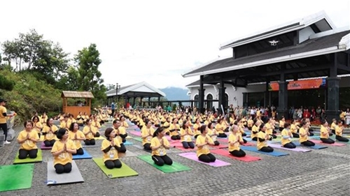 第八届国际瑜伽日活动在老街省沙坝举行