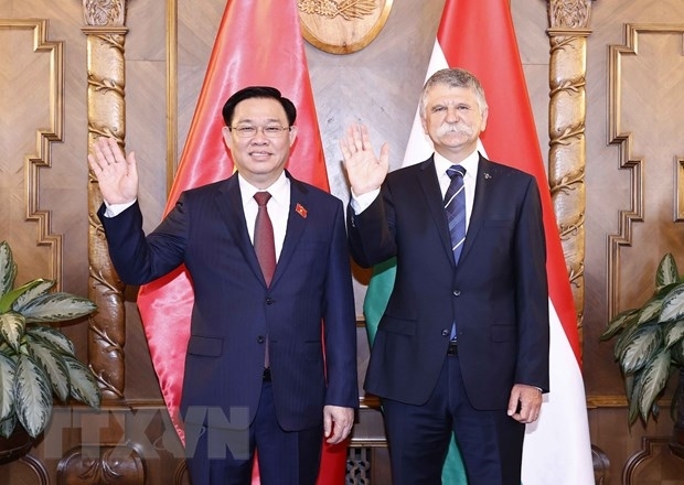 越南一向重视并希望加强与匈牙利的多方面友好合作关系