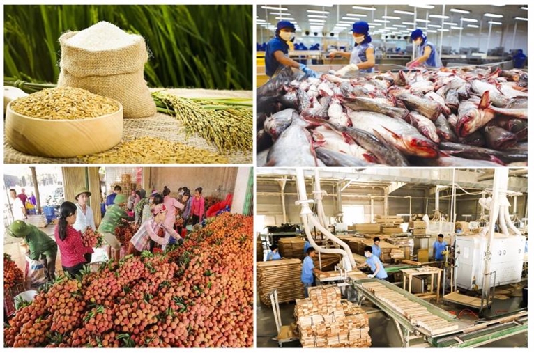 今年上半年越南农林水产品出口总额约达280亿美元